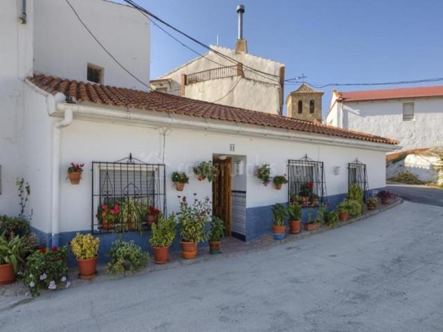 Cueva El Murallon Benamaurel 外观 照片